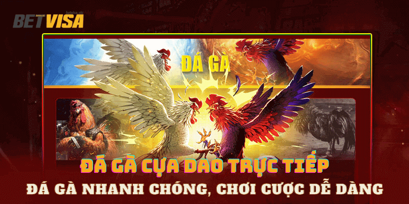 đá gà cựa dao trực tiếp tại Betvisa